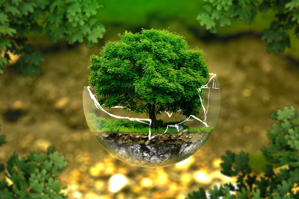 Inventaires biodiversité