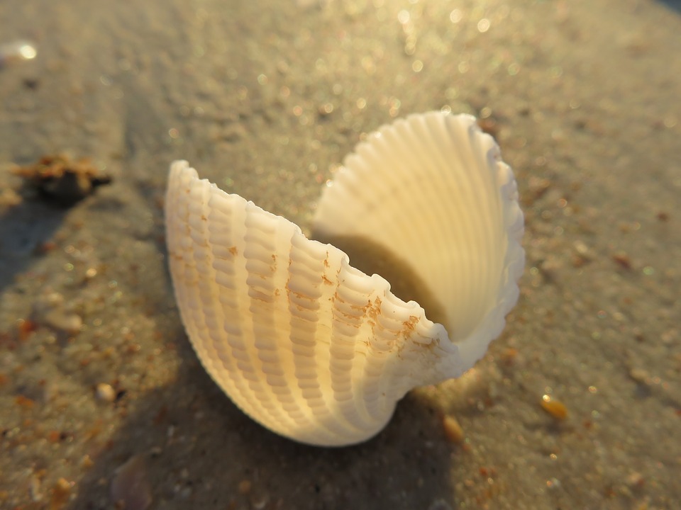 Interdiction pêche
