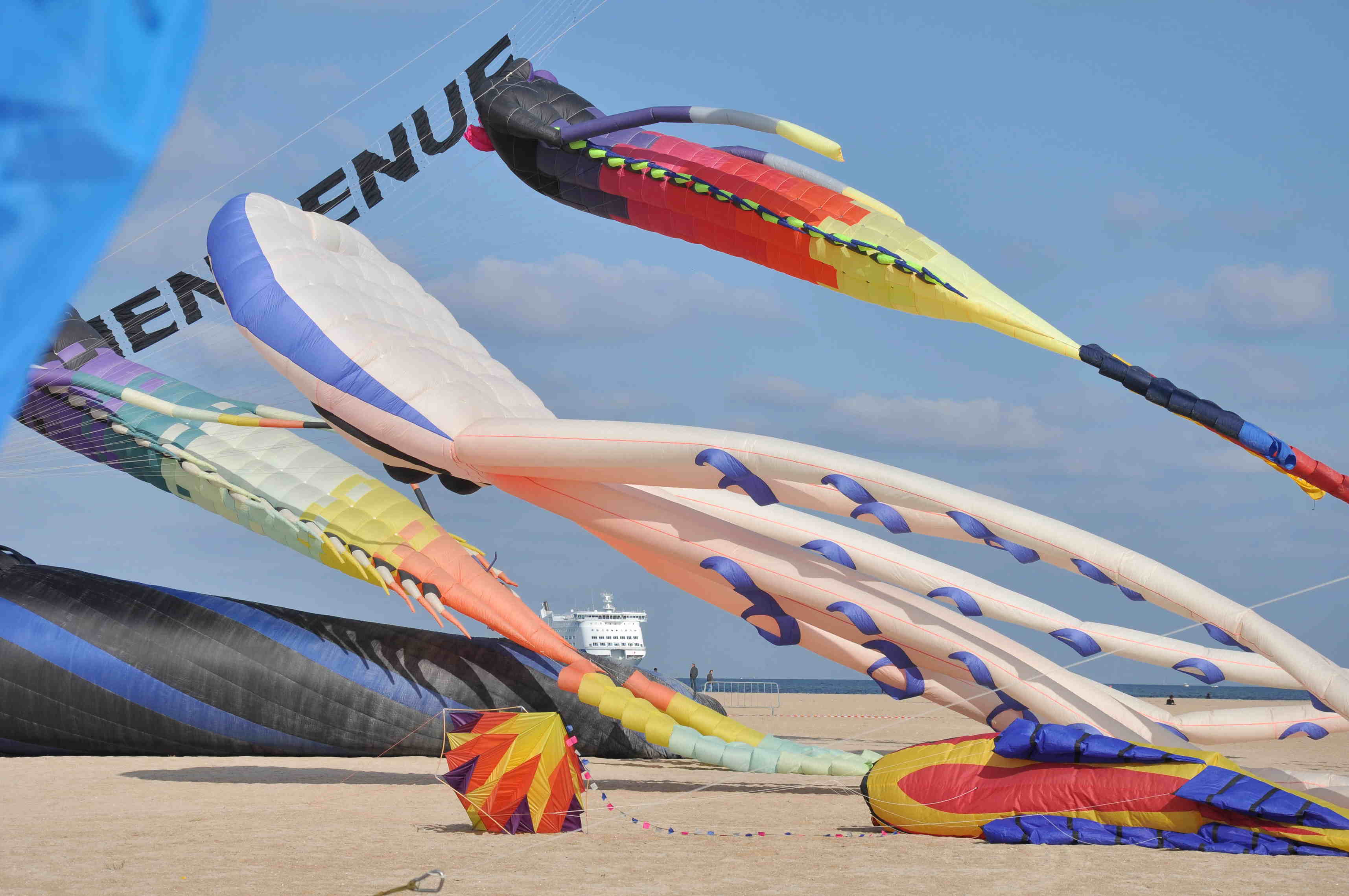 D Day Festival - Cerfs-Volants en Liberté - Ouistreham Riva-Bella